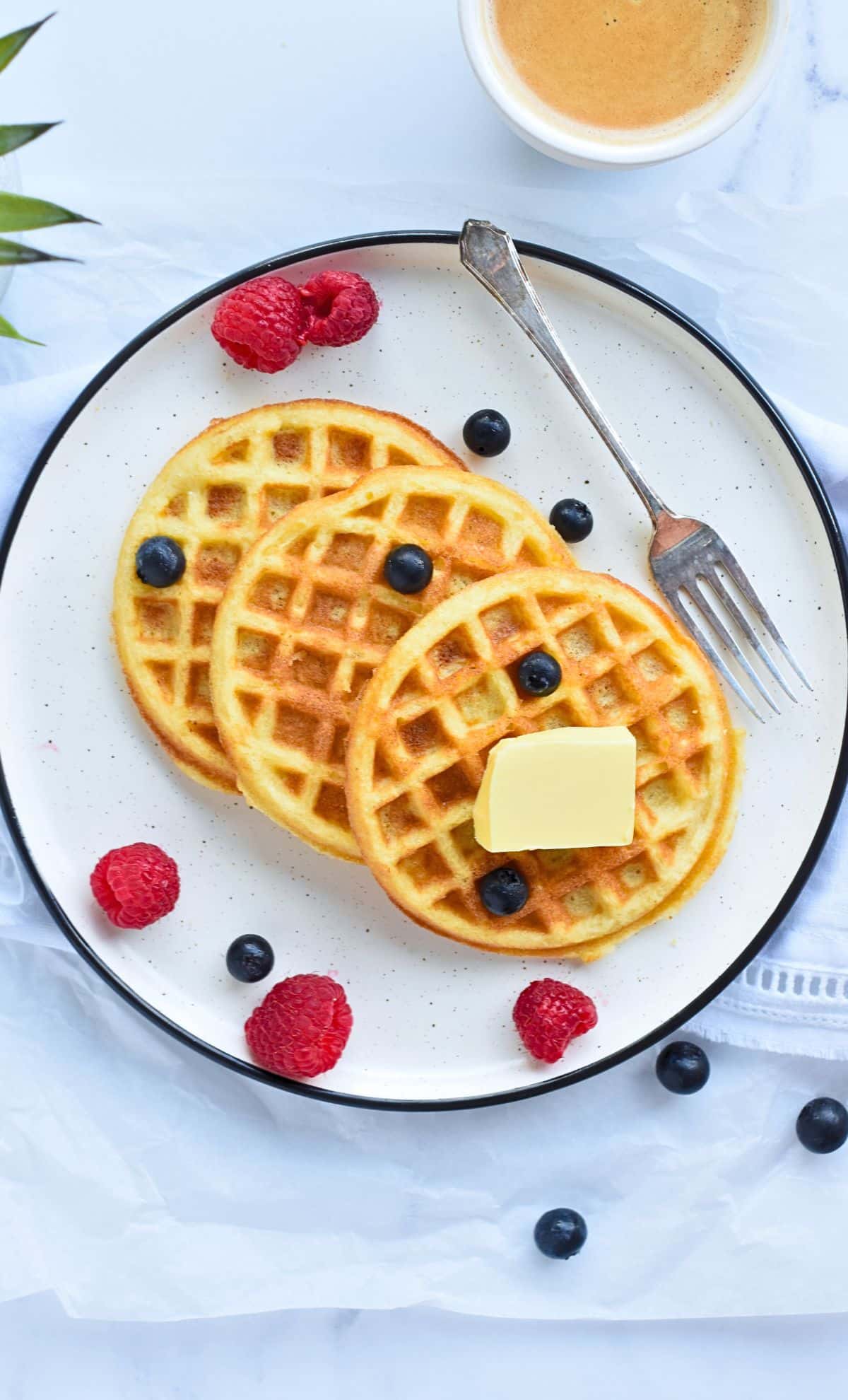 Coconut Flour Waffles