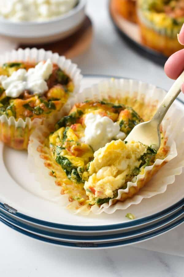 Cottage Cheese Egg Bites - Sweet As Honey