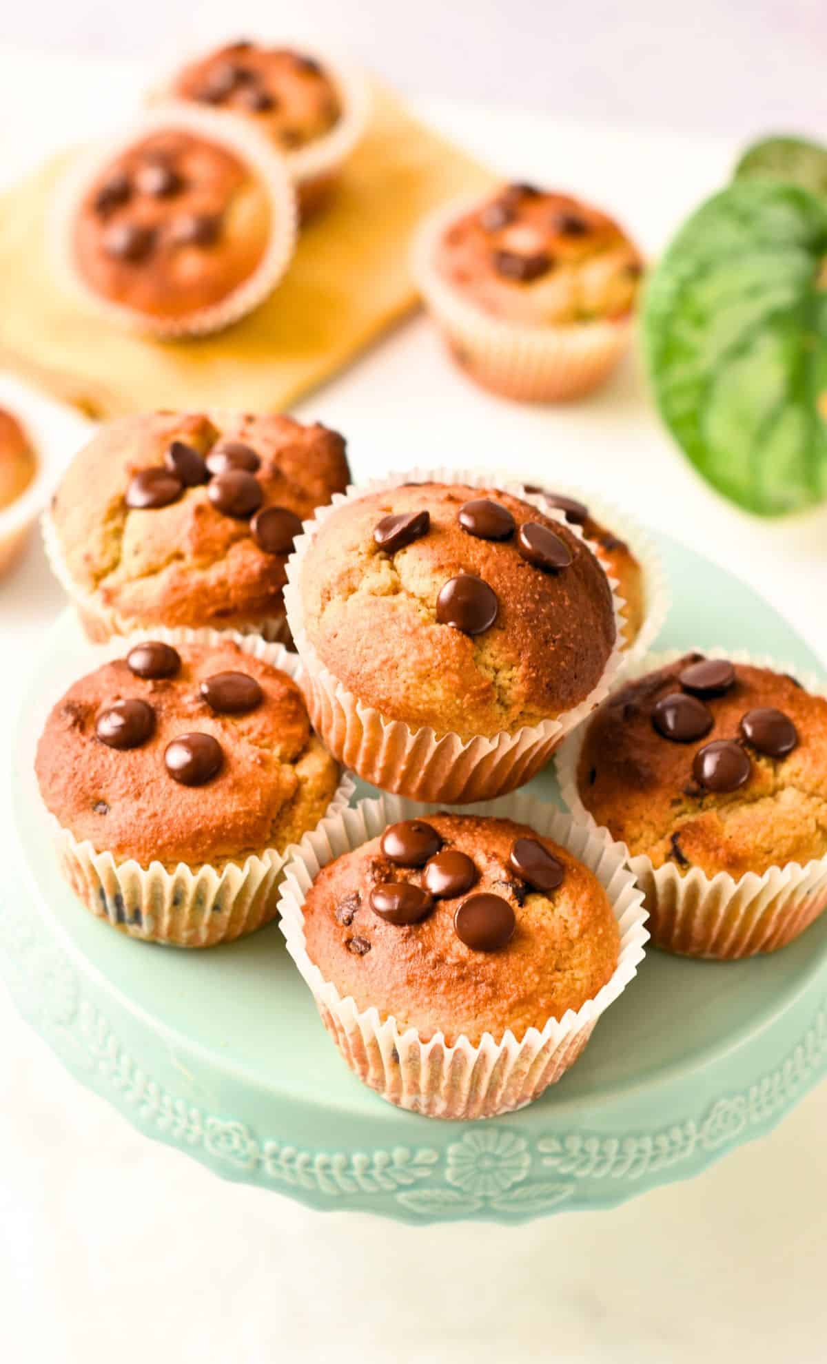 Cottage Cheese Muffins