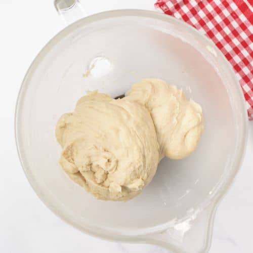 2-Ingredient Tortilla dough in a mixing bowl.