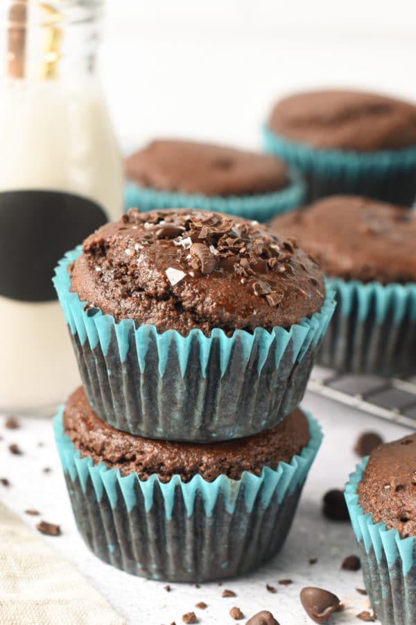 Keto Chocolate Muffins - Sweet As Honey