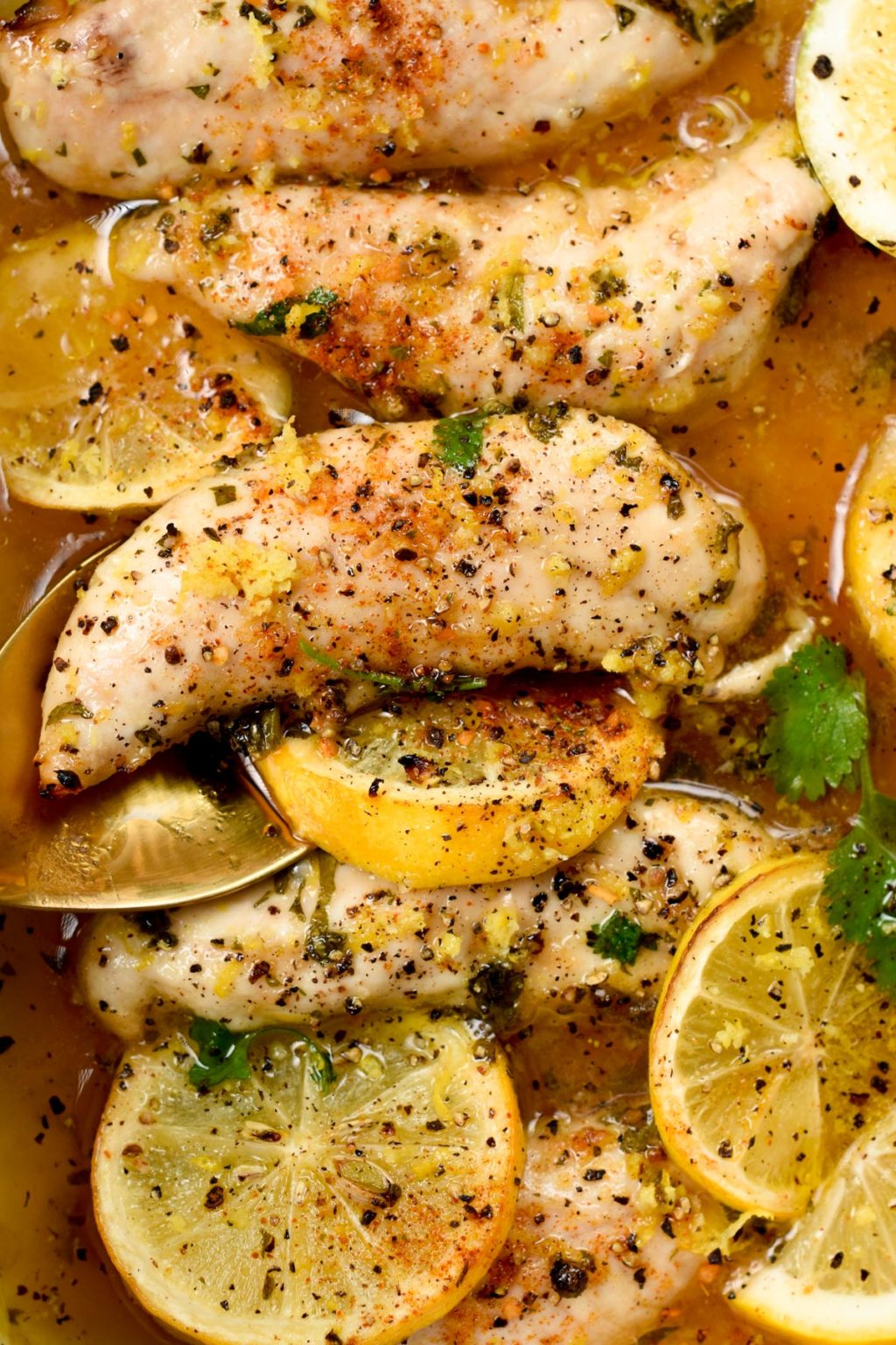 lemon-pepper-chicken-tenders-sweet-as-honey