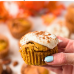 Protein Pumpkin Muffins